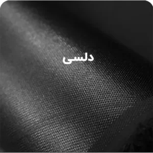 دلسی